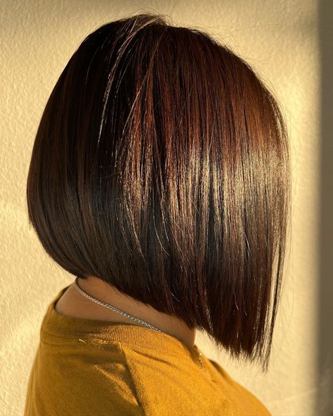 Sleek Red Brown Bob with Soft Undercut Angled Bob Haircuts, Angled Bob Hairstyles, Stacked Bobs, Stacked Bob Haircut, Bob Hairstyles For Thick, Bob Hairstyles With Bangs, Medium Bob Hairstyles, Bob Haircut With Bangs, Layered Bob Hairstyles