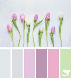 Spring Tones via @de Spring Tones, Seeds Color, Color Schemes Colour Palettes, Design Seeds, Color Palette Design, Color Harmony, Color Balance, Trik Fotografi, Colour Schemes