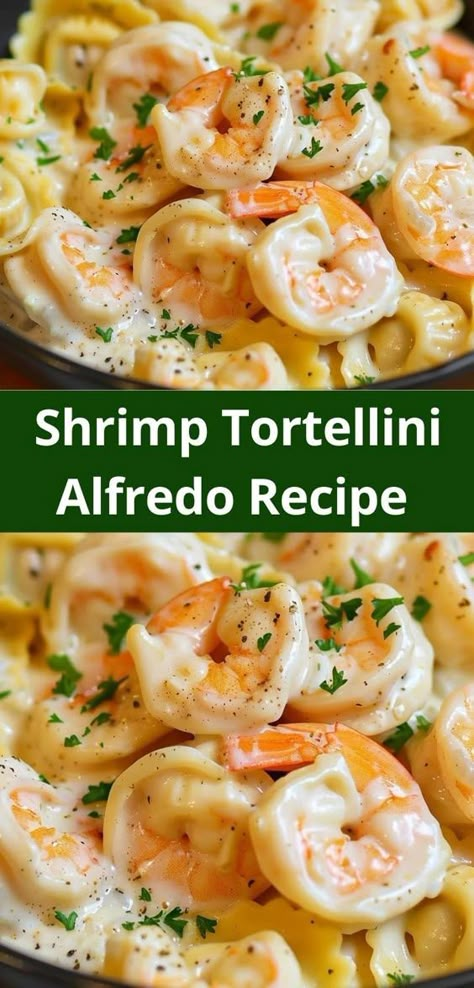 Need dinner recipes for family? Our Shrimp Tortellini Alfredo Recipe is a hit! This shrimp alfredo pasta is ideal for easy dinner ideas and offers a delicious shrimp dinner everyone will love. Shrimp Tortellini Alfredo, Shrimp Tortellini, Shrimp Alfredo Pasta Recipes, Shrimp Pasta Recipes Easy, Shrimp Alfredo Recipe, Tortellini Alfredo, Alfredo Recipes, Creamy Shrimp Pasta, Pasta Recipes Alfredo