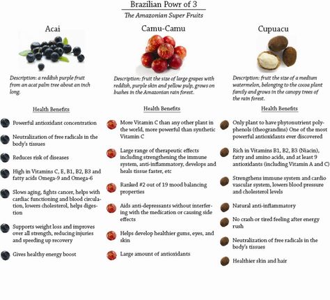 SUPER FRUITS --> Acai, Camu Camu & Cupuacu and their health benefits.  Contained in 'All Natural' Velocity weight loss and antioxidant packed Amazon PowrBlend Acai Berry Benefits, Cocoa Plant, Longevity Recipes, Super Fruits, Acai Fruit, Camu Camu, Women Health Care, Women Health, Plant Based Nutrition