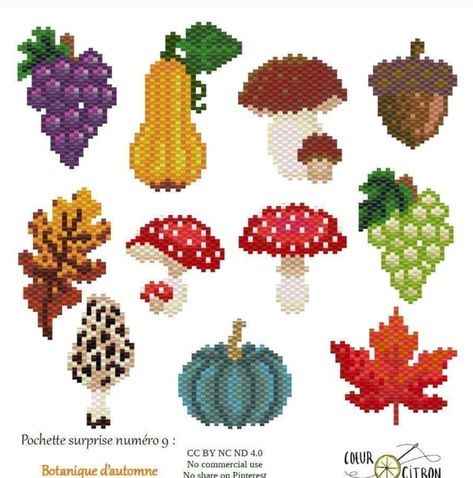 Brick Stitch Halloween Patterns, Beaded Mushroom Pattern, Seed Bead Mushroom, Bead Projects Ideas, Beads Mushroom, Beaded Mushroom, Fall Bead, Seed Bead Jewelry Patterns, Seed Bead Crafts