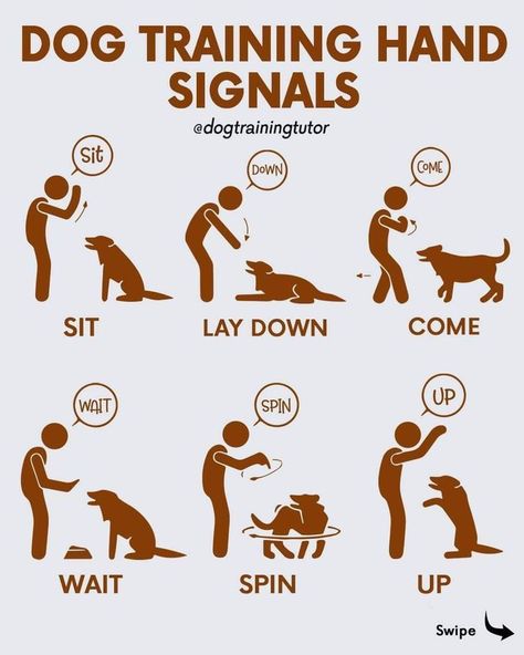 Train your dog with hand signals to improve communication, focus, and | #Puppy_Training_Tricks #Obedience_Training_For_Dogs #Dog_Training_Hand_Signals #Games_For_Dogs Dog Training Hand Signals, Dog Hand Signals, Service Dog Training, Basic Dog Training, Dogs Training, Hand Signals, Dog Training Advice, Dog Brain, Puppy Training Tips