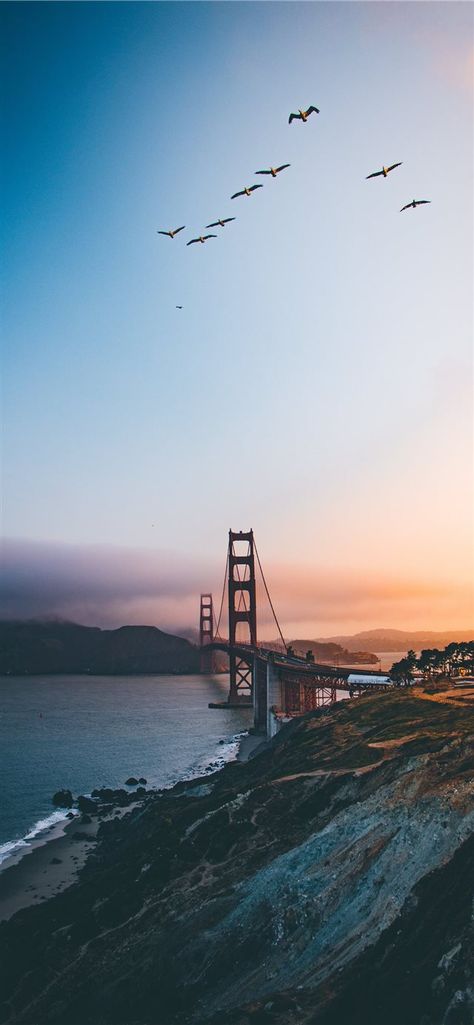 Golden Gate Bridge  United States iPhone X wallpaper  #la #bridge #sky #bird #GoldenGateBridge #flock #structure #UnitedStates  #Wallpaper #Background #iPhoneX #iPhoneXS #iPhoneXR Iphone Wallpaper Travel, Bridge Wallpaper, Wallpaper Travel, San Francisco Photos, Travel Wallpaper, Ocean Wallpaper, Backgrounds Phone Wallpapers, City Wallpaper, Stunning Wallpapers