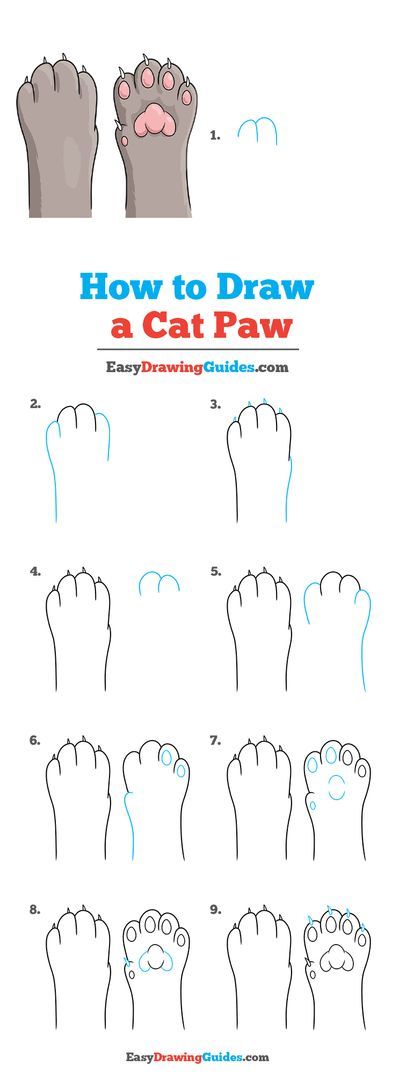 How To Draw A Cat Paw, Cat Paws Painting, How To Draw Cat Paws, Cat Paw Sketch, Cat Paw Painting, Cat Paws Drawing, Cat Paw Art, Paw Sketch, Cat Paw Drawing