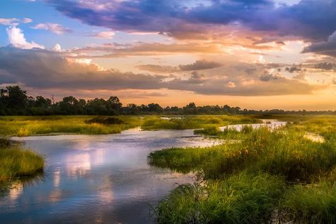 Sunset Paintings, Painting Landscapes, World Most Beautiful Place, Okavango Delta, Amazing Artists, Volcano National Park, Landscape Photography Nature, Artistic Images, Landscape Pictures