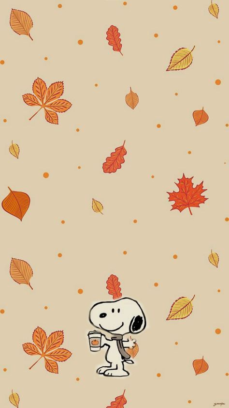 Cute Autumn Wallpaper, Hello Kitty Guitar, Fall Cat, Autumn Dog, Dog Background, Wallpaper Fall, Autumn Wallpaper, Barn Swallow, Cute Autumn