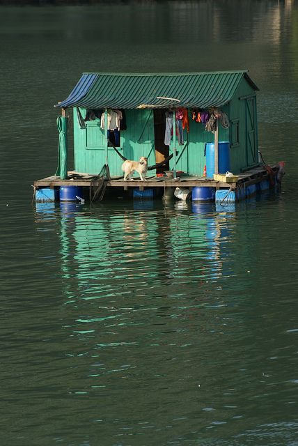 Shanty Boat, Vietnam Voyage, Nature Architecture, Halong Bay, Floating House, Cabins And Cottages, Tiny Living, Clothes Line, Little Houses