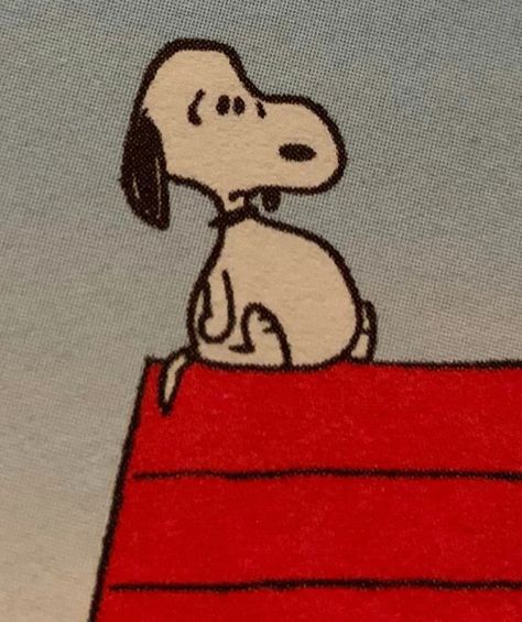 Snoopy Aesthetic, Snoopy Images, Snoopy Wallpaper, Snoopy Pictures, Snoop Dog, Snoopy Love, Mötley Crüe, Peanuts Gang, Old Cartoons