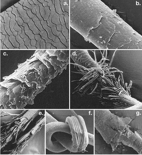 #30DaysNoHeat Split ends under the Microscope | HAIR Hair Under Microscope, Hair Salon Pictures, Hair Salon Marketing, Heat Damaged Hair, Hair Science, Salon Pictures, Under The Microscope, Damage Hair Care, Microscopes