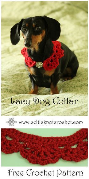 Lacy Dog Collar - Celtic Knot Crochet Dog Collar Pattern, Crochet Dog Clothes, Crochet Patterns Free, Crochet Dog Patterns, Crochet Dog Sweater, Celtic Knots, Crochet Collar, Dog Scarfs, Pattern Ideas