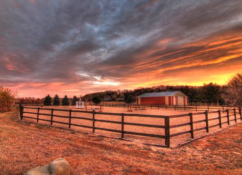 Beautiful outdoor riding arena at a horse farm in WI Horse Riding Arena Outdoor, Outdoor Arena Horses, Outdoor Horse Arena, Preppy Island, Outdoor Riding Arena, Horse Yard, Horse Riding Arena, Western Goth, Grandma House