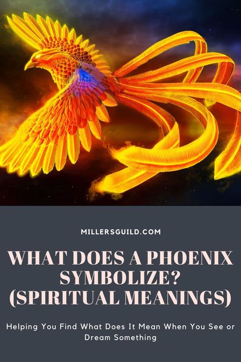 What Does a Phoenix Symbolize? (Spiritual Meanings) Phoenix Meaning, Phoenix Symbolism, Phoenix Bird, Phoenix Tattoo, Spiritual Meaning, Animals Of The World, Healing Powers, Simple Tattoos, Spirit Animal