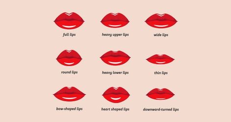 Lips Cupids Bow, Types Of Lips Shape, Lip Surgery, Heart Shaped Lips, Lip Types, Matte Lip Stain, Makeup Drawing, Kissing Lips, Small Lips