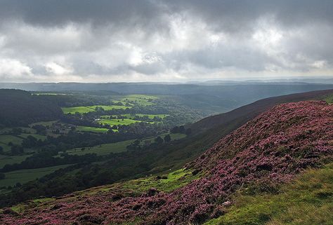 North Yorkshire Moors. Scottish Hillside, Scottish Moors Aesthetic, Yorkshire Moors, Yorkshire Day, North York Moors National Park, Yorkshire Moors Wuthering Heights, North Country, North York Moors, Yorkshire Dales