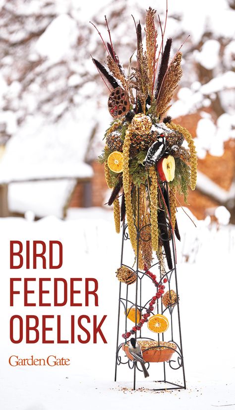 Small Bird Garden Ideas, Bird Yard Ideas, Winter Bird Feeders Diy, Bird Shelters For Winter, Bird Feeder Landscaping Ideas, Bird Feeding Station Ideas Gardens, Bird Feeding Station Ideas Diy, Bird Feeder Station Ideas, Diy Squirrel Feeder