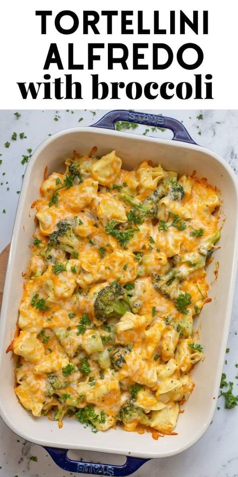 Broccoli And Tortellini, Easy Baked Tortellini, Baked Cheese Tortellini, Baked Tortellini Alfredo, Alfredo With Broccoli, Baked Tortellini, Tortellini Alfredo, Tortellini Bake, Broccoli Bake