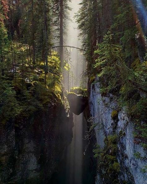 ✨🌲 𝗠𝗮𝗹𝗶𝗴𝗻𝗲 𝗖𝗮𝗻𝘆𝗼𝗻 is the deepest canyon in Jasper National Park, with a depth of more than 50 metres at certain points. Hikers of all… Jasper National Park, Beauty Light, Pretty Sunset, Beach Beautiful, Sunset Sunrise, Camping Hacks, Summer Beach, Blue Flowers, National Park