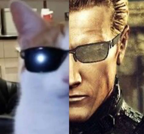 Albert Wesker, Resident Evil, Kitty, I Love