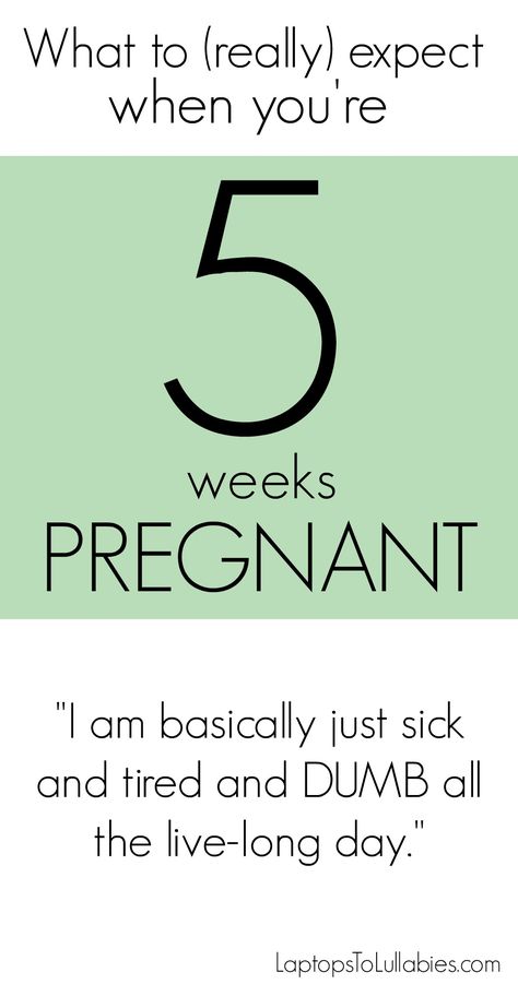 Week 6 Of Pregnancy, Five Weeks Pregnant, Pregnancy Weeks, 6 Weeks Pregnant, 5 Weeks Pregnant, Special Needs Resources, Pregnancy Week, 1st Trimester, Pregnancy Guide