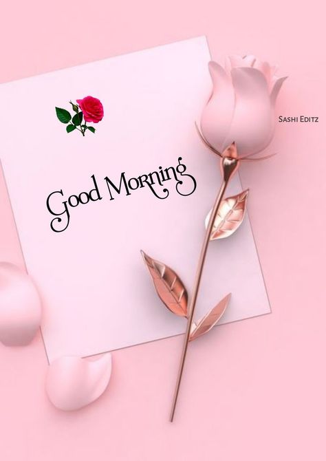 Gm Quotes Mornings, Morning Flowers Quotes, Good Morning Wishes Love, Gif Good Morning, Gud Morning Images, Cute Good Morning Gif, Good Morning Love Gif, Good Morning Flowers Rose, Good Morning Beautiful Gif