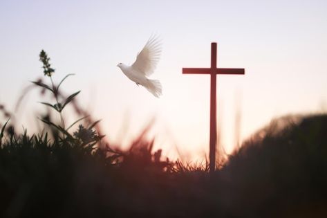 Christian Backgrounds Landscape, Christian Ppt Background, Faith Pictures Image, Christian Images Pictures, Church Backgrounds Images, Cross Background Christian Wallpaper, Christian Pc Wallpaper, Christ Background, Dove Background