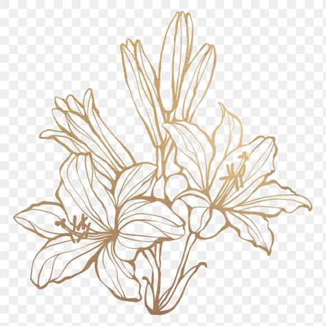 Silk Painting Techniques, Lilies Drawing, Flower Frame Png, Line Art Flowers, Leaf Outline, Lily Painting, Flower Drawing Design, Flower Outline, Transparent Flowers