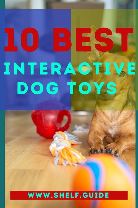 If you are on the hunt for ideas and suggestions for the best interactive dog toys, then this is the place to look. Dogs need mental and physical exercise to thrive, which is why creative toys… More Commands For Dogs, Diy Dog Enrichment, Mental Stimulation For Dogs, Exercise For Dogs, Stimulation For Dogs, Enrichment For Dogs, Dog Enrichment Ideas, Dog Enrichment Toys, Hyperactive Dog