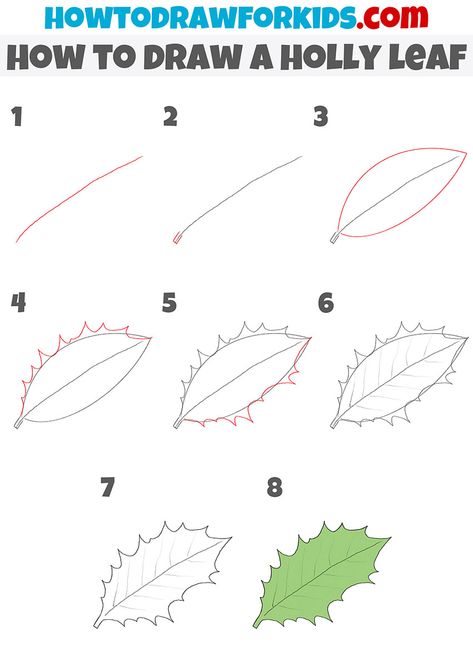 How To Paint Holly Leaves Acrylic, How To Draw Holly Leaves, Holly Leaves Drawing, How To Draw Holly, Christmas Holly Drawing, Draw Still Life, English Drawing, Art Steps, Holly Flower