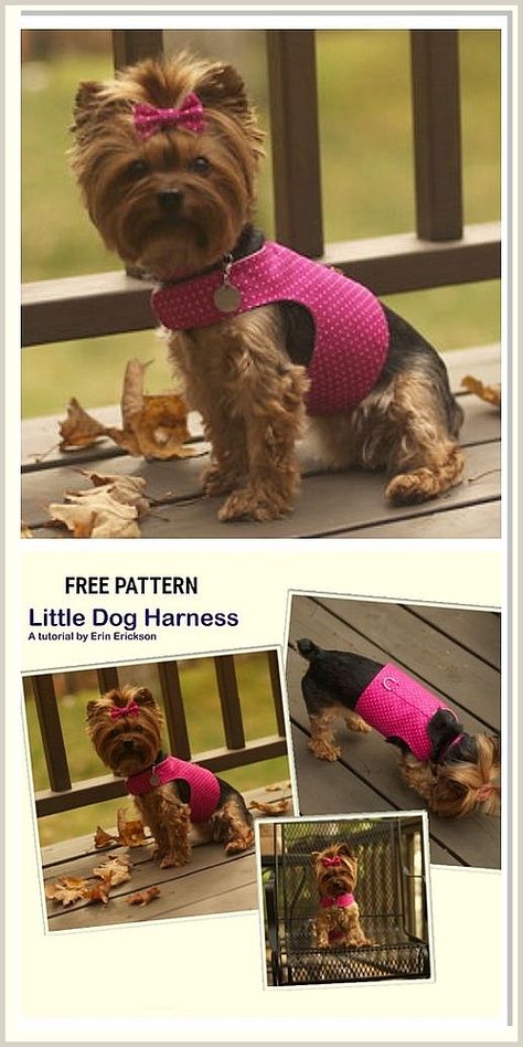 Looking for a top rated dog harness that will provide your furry friend with safety and comfort? Look no further than our selection of harnesses! Free Dog Harness Pattern, Free Dog Harness Sewing Pattern, Frenchie Clothes, Harness Sewing Pattern, Dog Harness Tutorial, Dog Harness Pattern Free, Harness Pattern, Dog Jacket Patterns, Pet Clothes Patterns