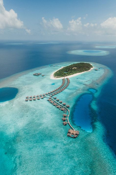 Travel Maldives Aesthetic, Aesthetic Snorkeling, Maldives Snorkeling, Snorkeling Aesthetic, Maldives Activities, Maldives Pictures, Snorkeling Pictures, Maldives Aesthetic, Maldives Photography