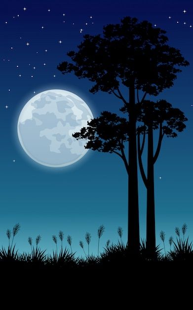 Night Scene Painting, Moon And Trees, Moon Painting, Anime Wallpaper Phone, Beautiful Night, Night Scene, Night Painting, Tree Drawing, Night Art