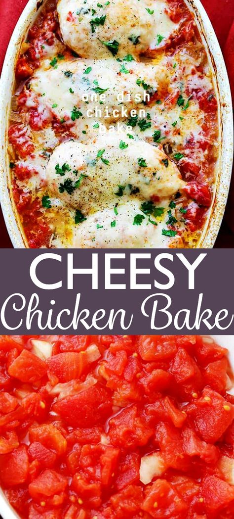 One Dish Chicken Bake, Cheesy Chicken Bake, One Dish Chicken, Recipes With Diced Tomatoes, Canned Tomato Recipes, Chicken Recipes With Tomatoes, Tomato Chicken, Chicken Baked, One Dish Dinners