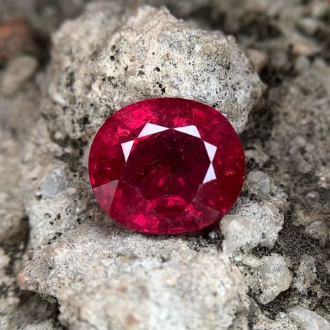 This is how a pigeon blood Ruby looks 😍 Gem Details: Carat weight: 7.20 Carats Origin: Thailand Shape: Oval Mixed Color: Pigeon Blood Treatments: Heat Lab Report: Certified . . Save for future reference and follow us for more 👉🏻 @leadinglightjewellery #rubystone #pigeonbloodruby #gemlover Blood Ruby, Lab Report, Ruby Stone, Pigeon, Color Mixing, Ruby, Thailand, Lab, Gems