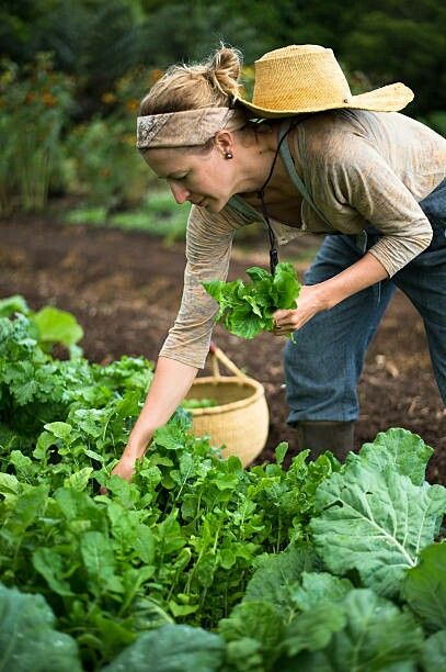 Farming Pose Reference, Gardener Style, Gardening Photography, Farmer Girl, Female Farmer, Vegetable Farming, Farm Photography, Gardening Outfit, Garden Photography