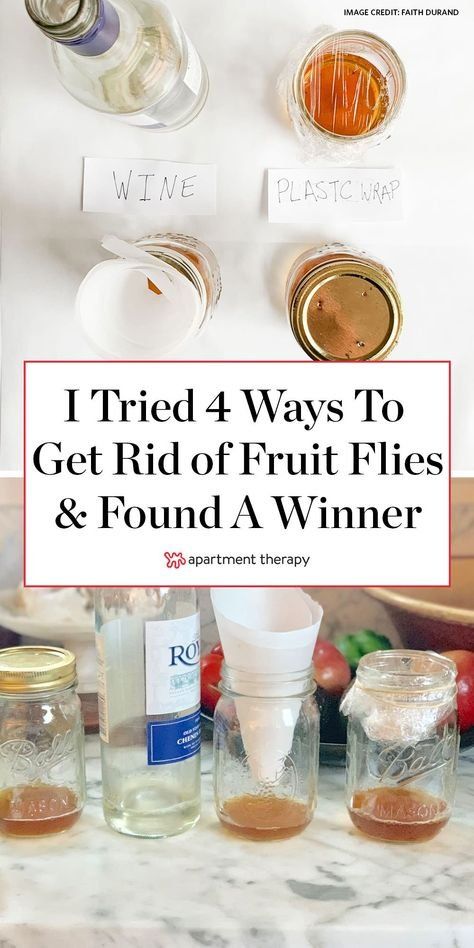 I tested 4 zero-cost methods for trapping fruit flies in the kitchen—and found one clear winner. #fruitflies #flytrap #homeremedies #diyflytrap #flytrapdiy #cleaningtips #cleaninghacks #lifehacks #pestcontrol #fruitflytrap Fruit Fly Spray, Killing Fruit Flies, Fly Remedies, Flies Trap Diy, Catch Fruit Flies, Homemade Fruit Fly Trap, Fruit Fly Killer, Fruit Flies In House, Fruit Fly Trap Diy