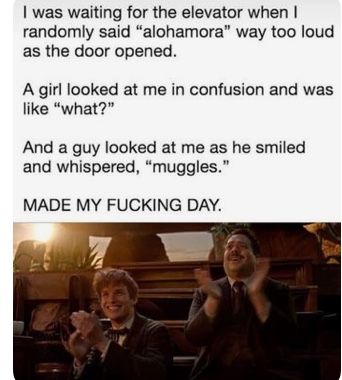 Muggle Meme Harry Potter, Citate Harry Potter, Glume Harry Potter, Funny Harry Potter Jokes, Harry Potter Memes Hilarious, Harry Potter Feels, Harry Potter Puns, Harry Potter Images, Humor Videos