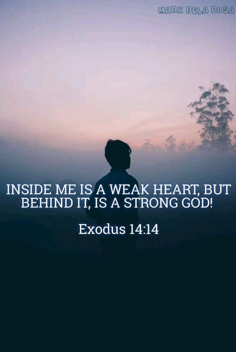 Do you believe that God has your back? #divinegracechristianfellowship #pastorrobertlproctorjr God Has My Back, God Has Your Back, Wisdom Knowledge And Understanding, God Encouragement, Godly Wisdom, Thanks God, Believe God, Study The Bible, Bible Says