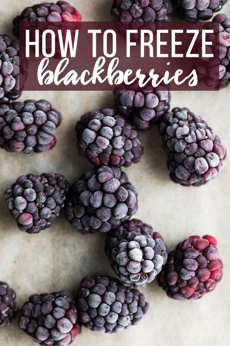 How to freeze blackberries- a step by step guide with photos to show you exactly how to freeze fresh blackberries. Perfect for using in smoothies, over oatmeal and in baked goods. Post includes tips and recipes for using your frozen blackberries. Freeze Blackberries, Freeze Rhubarb, How To Freeze Blackberries, Freezing Fruit, Freezing Apples, Blackberry Recipes, Freezer Meal Prep, Berries Recipes, Frozen Veggies