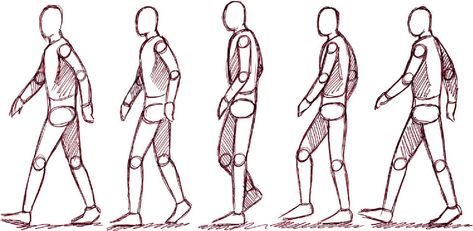 Moving onto the four legged walk cycles will be a lot more difficult. Description from crickymck.wordpress.com. I searched for this on bing.com/images Walking Reference, Drawing Walking, Movement Drawing, Gesture Drawing Poses, Walking Animation, Walking Poses, Person Drawing, Sketch Poses, Woman Walking