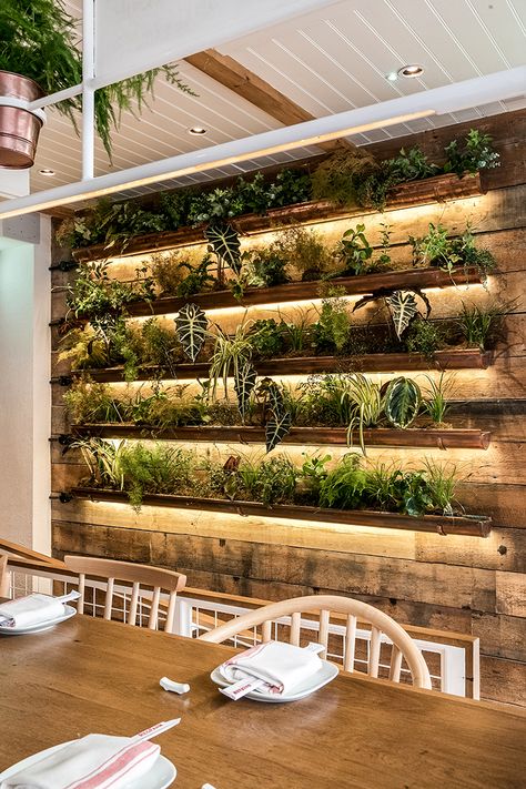 Bar Deco, Herb Wall, Garden Cafe, Wall Designs, Wall Garden, House Plants Decor, Outdoor Restaurant, Restaurant Interior Design, Dim Sum