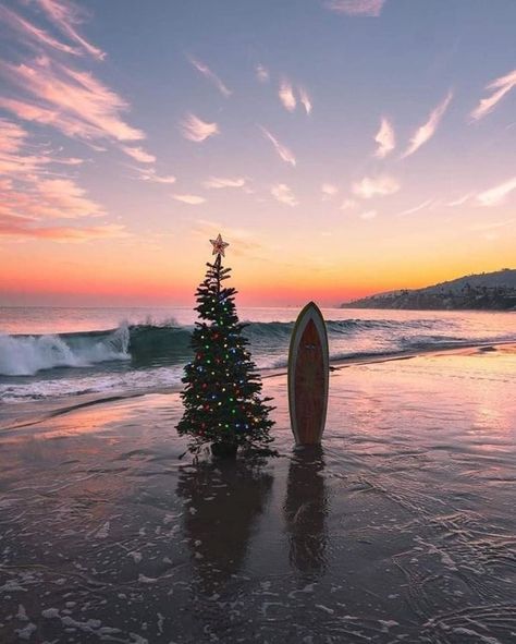 A sparkling Christmas tree and a surfboard, of course. Beach Christmas Pictures, Christmas Palm Tree, California Christmas, Aussie Christmas, Florida Christmas, Australian Christmas, Beachy Christmas, Summer Christmas, Tropical Christmas