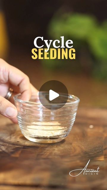 Ancient Digin on Instagram: "Hormone Balance and Cycle Seeding 🌱
Cycle Seeding is a powerful practice that aligns nutrition with the menstrual cycle, supporting hormone balance and overall wellness. By incorporating specific seeds during different phases of your cycle, you can optimize your hormonal health.

Benefits of Cycle Seeding:
🌸 Hormonal Balance: Supports the body’s natural hormonal fluctuations throughout the menstrual cycle. Studies show that flaxseed can help regulate estrogen levels, which is crucial for hormonal balance (Pawlus et al., 2015).
💪 Nutrient-Rich: Provides essential vitamins and minerals needed for optimal reproductive health. Pumpkin seeds are high in magnesium, which has been linked to reduced PMS symptoms (Wang et al., 2019).
🌿 Digestive Support: Seeds are h Seed Cycling, Reproductive Health, Hormone Balancing, Pumpkin Seeds, Flax Seed, Vitamins And Minerals, Vitamins, Cycling, Seeds