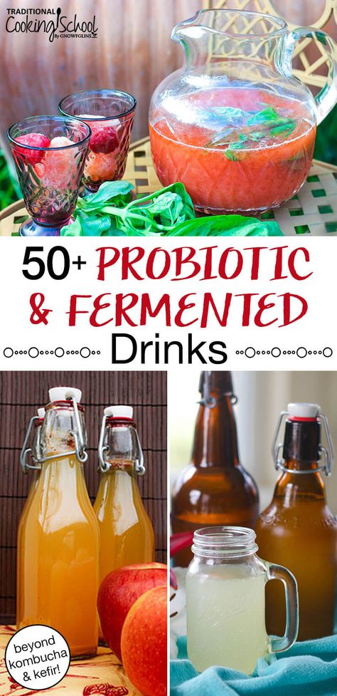 Probiotic Smoothie, Resep Vegan, Ginger Soda, Fermented Drinks, Homemade Sour Cream, Kombucha Recipe, Blueberry Banana Smoothie, Fermented Veggies, Healthy Probiotics