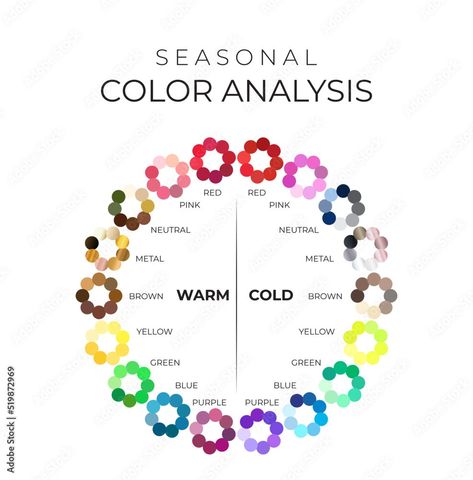 Seasonal Color Analysis Chart with Color Wheel Palette for Cold and Warm Colours Stock Vector | Adobe Stock Color Analysis Chart, Deep Winter Colors, Winter Color Palette, Warm Colours, Seasonal Color Analysis, Deep Winter, Color Analysis, Winter Colors, Color Wheel