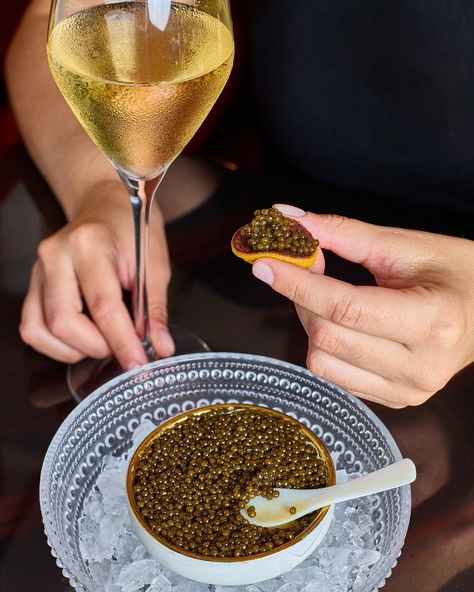 Indulge in an intimate champagne & caviar tasting experience at @marabarby1919 🥂✨ #CondadoVanderbilt #Marabarby1919 Caviar Tasting, Hotel Nantucket, Caviar And Champagne, Redondo Beach, Nantucket, Champagne, Hotel, Quick Saves