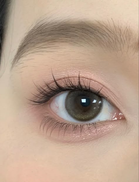 Japanese Eyelash Extensions, Korean Lash Extensions, Lashes Asian, Igari Makeup, Natural Fake Eyelashes, Lash Map, Korean Makeup Look, Korean Eye, Cute Eye Makeup