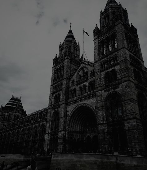 Gothic Academia Aesthetic, Gothic Architecture Aesthetic, Darkest Academia Aesthetic, Academia Aesthetic Wallpaper, Gothic Academia, Darkest Academia, Dark Academia Gothic, Dark Acadamia, Building Aesthetic