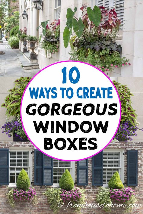 These ideas for window boxes are gorgeous! Whether you are planting them in full sun or shade, there are flowers that will work for you and look beautiful all summer long. #fromhousetohome #windowboxes #flowerboxes #gardeningtips #gardenideas #curbappeal Window Boxes Ideas, Flower Box Ideas, Box Gardens, Low Maintenance Landscape, Flower Combinations, Window Box Plants, Window Box Garden, Charleston Gardens, Art Boxes