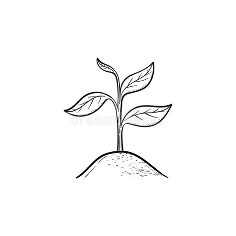 Tree Sprout Tattoo, Small Plant Drawing, Plant Sprout Tattoo, Plant Growing Drawing, Growing Plant Tattoo, Seedling Illustration, Seedling Drawing, Seedling Tattoo, Eco Tattoo