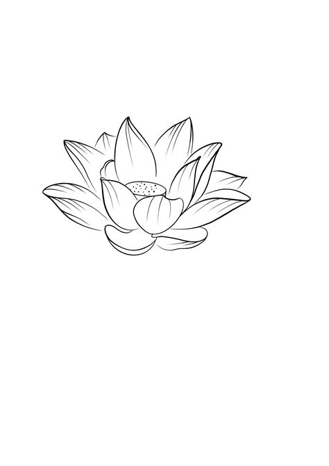 Line Art Lotus Flower, Lotus Flower Outline Drawing, Lotus Flower Pattern Design, Lotus Flower Line Tattoo, Water Lily Line Tattoo, Lotus Outline Drawing, Lotus Flower Tattoo Japanese, Lotus Flower Drawing Sketches, Lotus Flower Tattoo Drawing